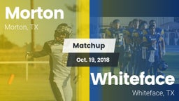 Matchup: Morton vs. Whiteface  2018
