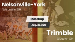 Matchup: Nelsonville-York vs. Trimble  2018