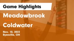 Meadowbrook  vs Coldwater  Game Highlights - Nov. 10, 2022