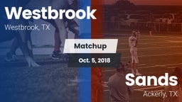 Matchup: Westbrook vs. Sands  2018