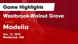 Westbrook-Walnut Grove  vs Madelia  Game Highlights - Jan. 12, 2023