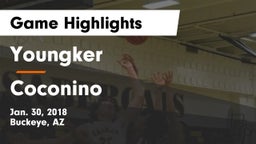 Youngker  vs Coconino  Game Highlights - Jan. 30, 2018