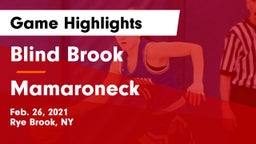 Blind Brook  vs Mamaroneck  Game Highlights - Feb. 26, 2021