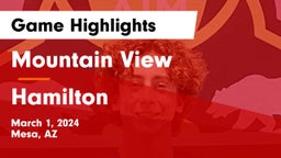 Mountain View  vs Hamilton  Game Highlights - March 1, 2024