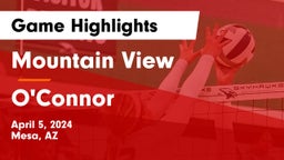 Mountain View  vs O'Connor  Game Highlights - April 5, 2024