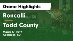 Roncalli  vs Todd County  Game Highlights - March 17, 2019