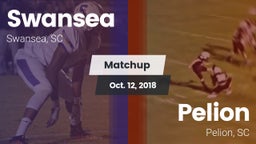 Matchup: Swansea vs. Pelion  2018