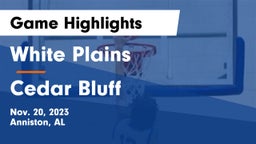 White Plains  vs Cedar Bluff  Game Highlights - Nov. 20, 2023