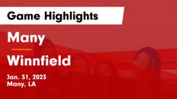 Many  vs Winnfield  Game Highlights - Jan. 31, 2023