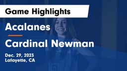 Acalanes  vs Cardinal Newman  Game Highlights - Dec. 29, 2023