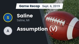Recap: Saline  vs. Assumption (V) 2019