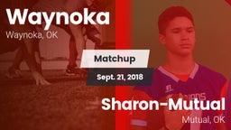 Matchup: Waynoka vs. Sharon-Mutual  2018