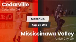 Matchup: Cedarville vs. Mississinawa Valley  2018