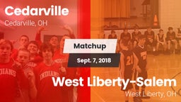 Matchup: Cedarville vs. West Liberty-Salem  2018