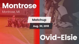 Matchup: Montrose vs. Ovid-Elsie 2018