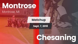 Matchup: Montrose vs. Chesaning 2018