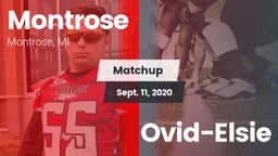 Matchup: Montrose vs. Ovid-Elsie 2020