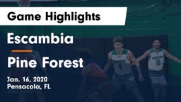 Escambia  vs Pine Forest  Game Highlights - Jan. 16, 2020