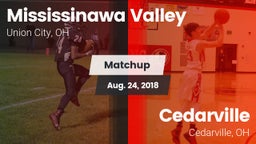 Matchup: Mississinawa Valley vs. Cedarville  2018