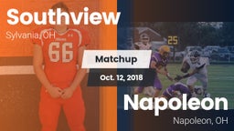 Matchup: Southview vs. Napoleon 2018