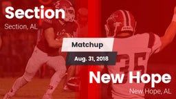 Matchup: Section vs. New Hope  2018