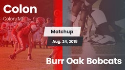 Matchup: Colon vs. Burr Oak Bobcats 2018