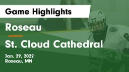 Roseau  vs St. Cloud Cathedral  Game Highlights - Jan. 29, 2022