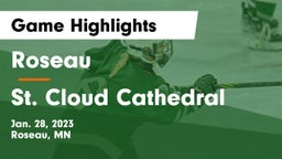 Roseau  vs St. Cloud Cathedral  Game Highlights - Jan. 28, 2023