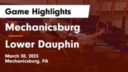 Mechanicsburg  vs Lower Dauphin  Game Highlights - March 30, 2023