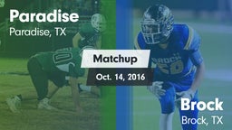 Matchup: Paradise vs. Brock  2016