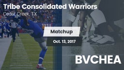 Matchup: Tribe Consolidated vs. BVCHEA 2017
