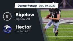 Recap: Bigelow  vs. Hector  2020