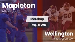 Matchup: Mapleton vs. Wellington  2018
