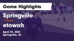 Springville  vs etowah Game Highlights - April 24, 2023