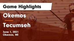 Okemos  vs Tecumseh  Game Highlights - June 1, 2021