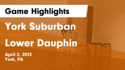 York Suburban  vs Lower Dauphin  Game Highlights - April 3, 2023