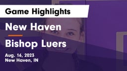 New Haven  vs Bishop Luers  Game Highlights - Aug. 16, 2023
