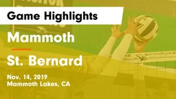 Mammoth  vs St. Bernard Game Highlights - Nov. 14, 2019