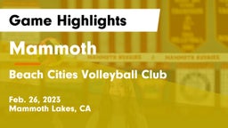 Mammoth  vs Beach Cities Volleyball Club Game Highlights - Feb. 26, 2023