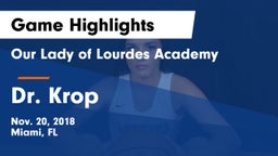 Our Lady of Lourdes Academy vs Dr. Krop Game Highlights - Nov. 20, 2018