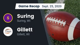 Recap: Suring  vs. Gillett  2020
