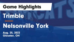 Trimble  vs Nelsonville York Game Highlights - Aug. 25, 2022