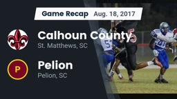 Recap: Calhoun County  vs. Pelion  2017