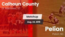 Matchup: Calhoun County vs. Pelion  2018