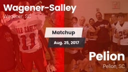 Matchup: Wagener-Salley vs. Pelion  2017