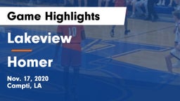Lakeview  vs Homer  Game Highlights - Nov. 17, 2020