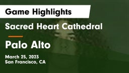 Sacred Heart Cathedral  vs Palo Alto  Game Highlights - March 25, 2023