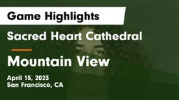 Sacred Heart Cathedral  vs Mountain View  Game Highlights - April 15, 2023