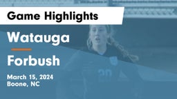 Watauga  vs Forbush Game Highlights - March 15, 2024