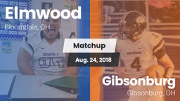 Matchup: Elmwood vs. Gibsonburg  2018